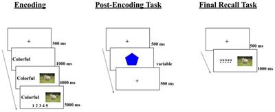 The effects of wakeful rest on memory consolidation in an online memory study